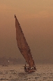 clicca per vedere la foto ingrandita